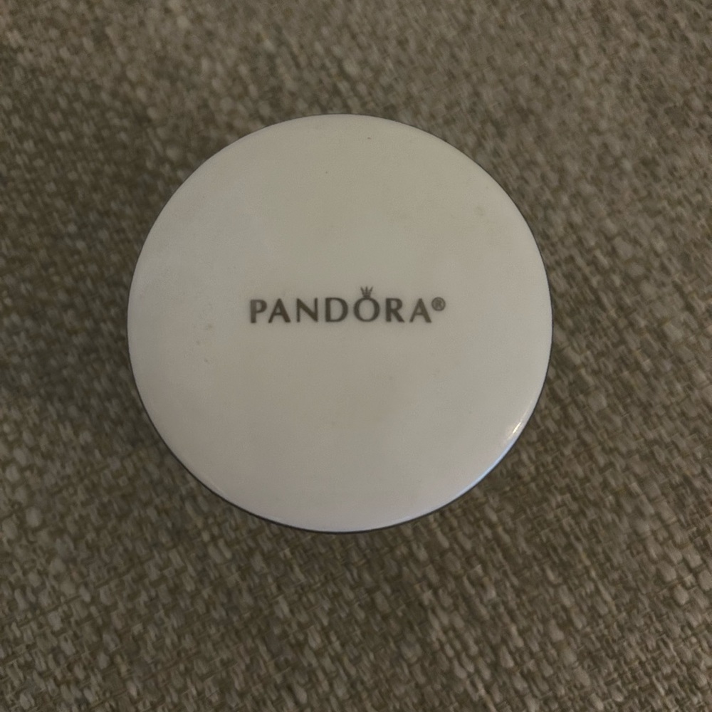 Small pandora jewelry case